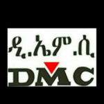 Junior Office Engineer Job at DMC Construction PLC | Adet & Tilili