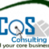 ICOS Consulting PLC