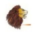 Lion Insurance Company (S.C)