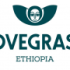 Lovegrass Agro Processing job vacancy 2026