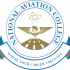 National Aviation College