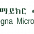 YEGNA MICROFINANCE INSTITUTION S.C